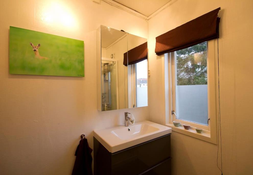 Large, And Quiet Apartment. Leilighet *