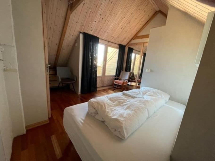 Large, And Quiet Apartment. Leilighet